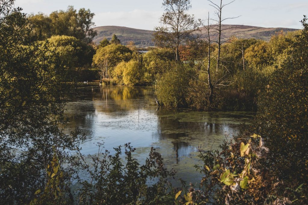 Cave Hill Country Park