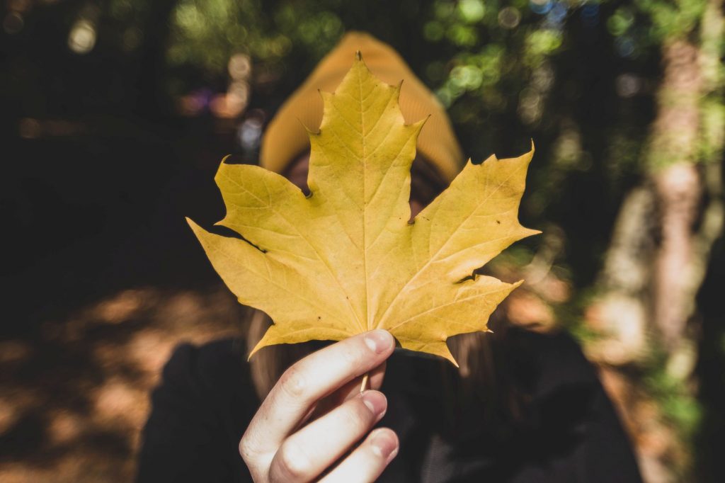 Cave Hill Country Park