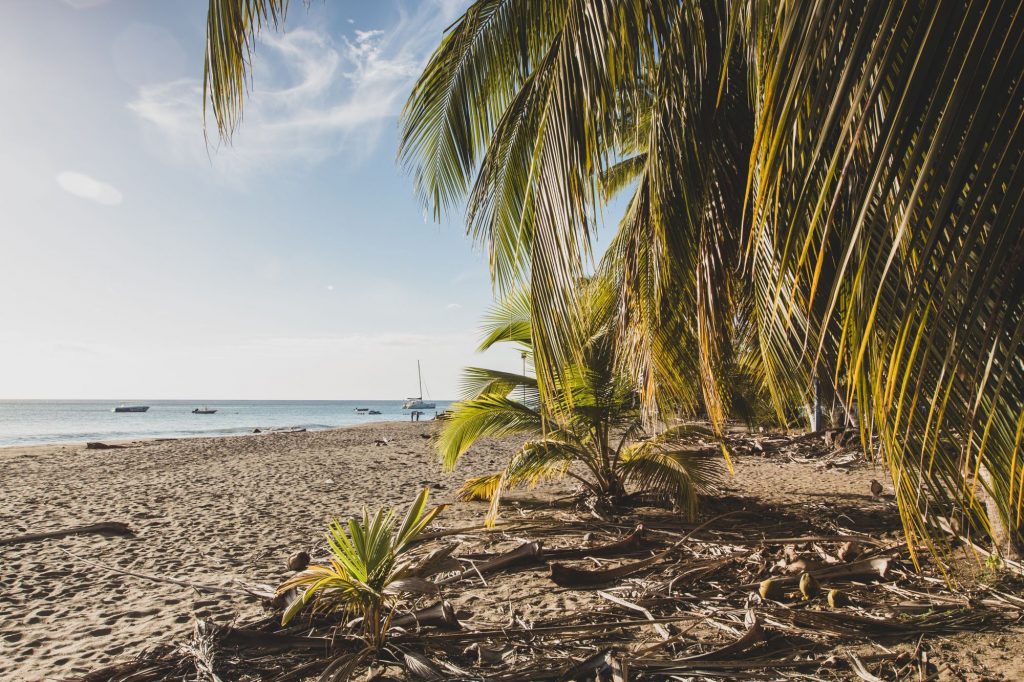 Les plus belles plages de Martinique
