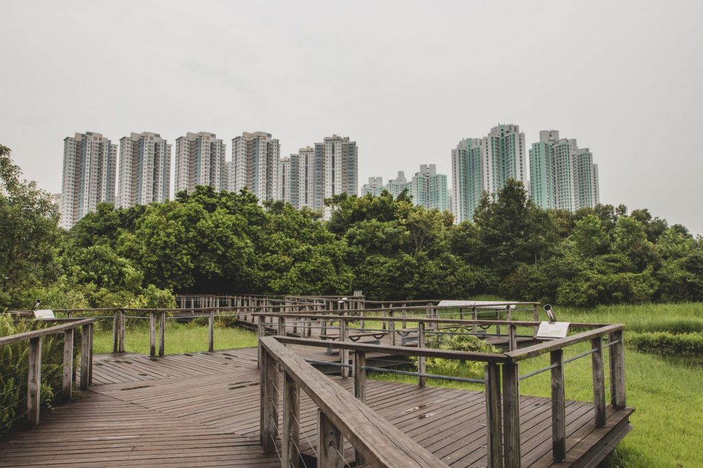 Visiter le Wetland Park à Hong Kong