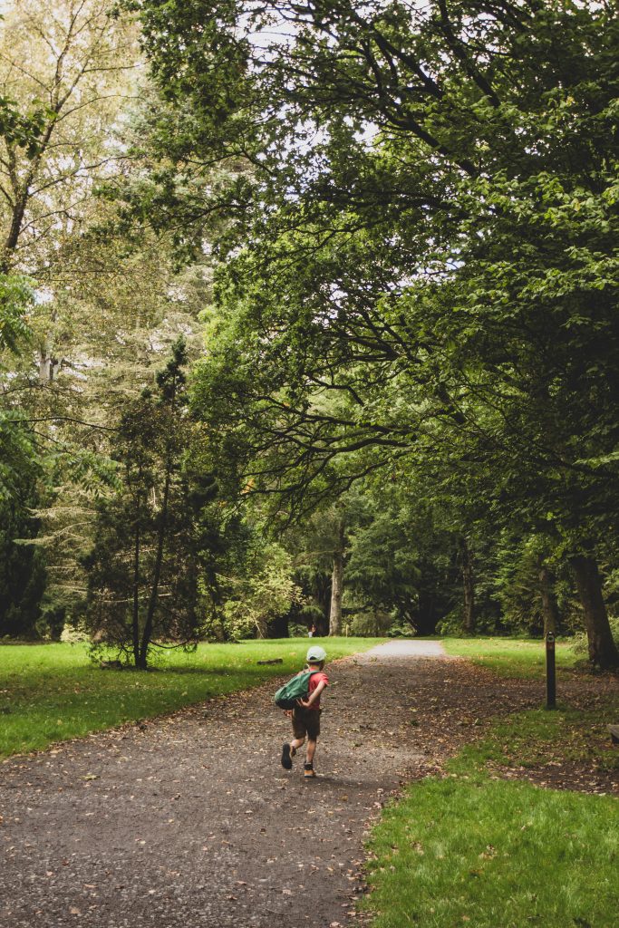 Gosford Forest Park dans le comté d'Armagh en Irlande du Nord