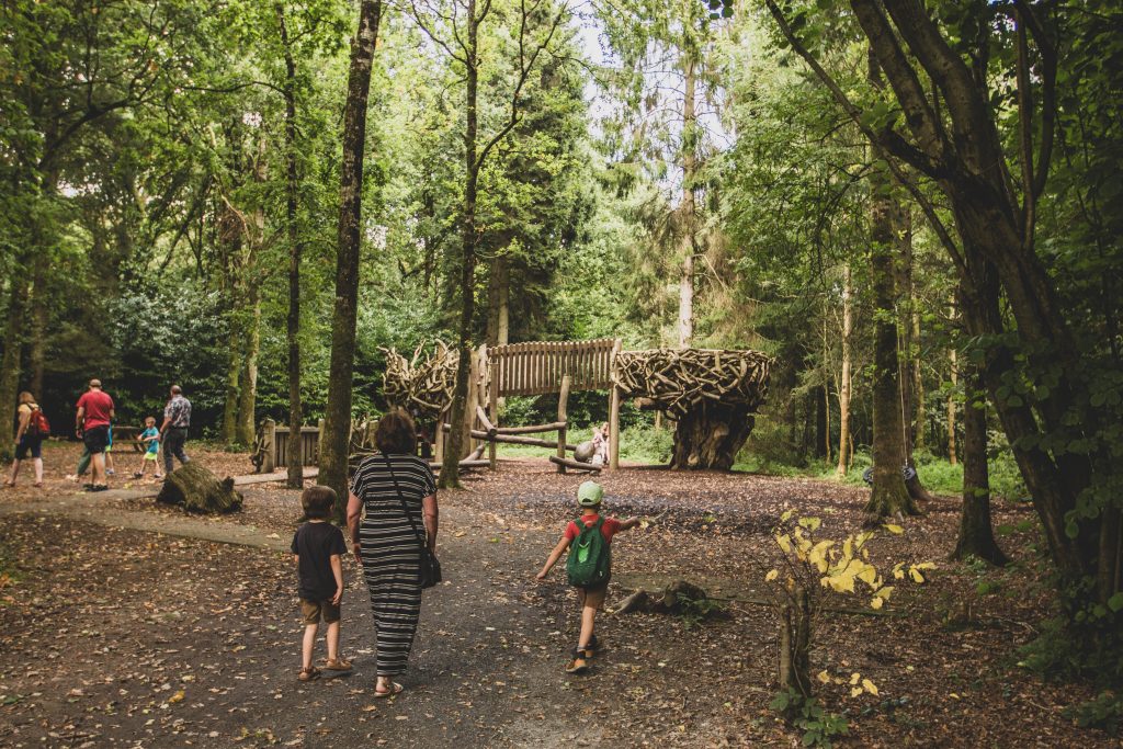 Gosford Forest Park dans le comté d'Armagh en Irlande du Nord