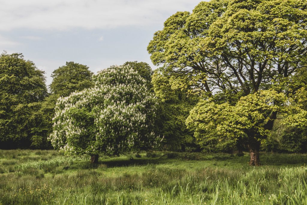 Monea Castle, Fermanagh
