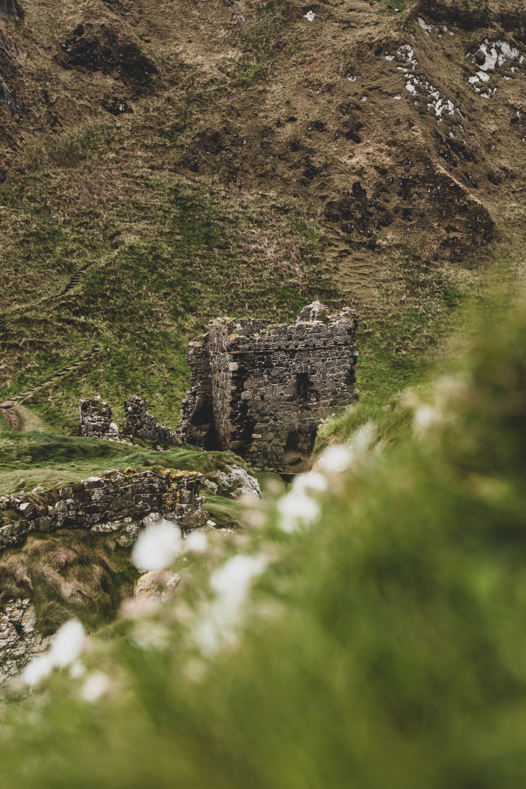 Tout savoir sur l’ETA pour voyager en Irlande du Nord - Vio Vadrouille