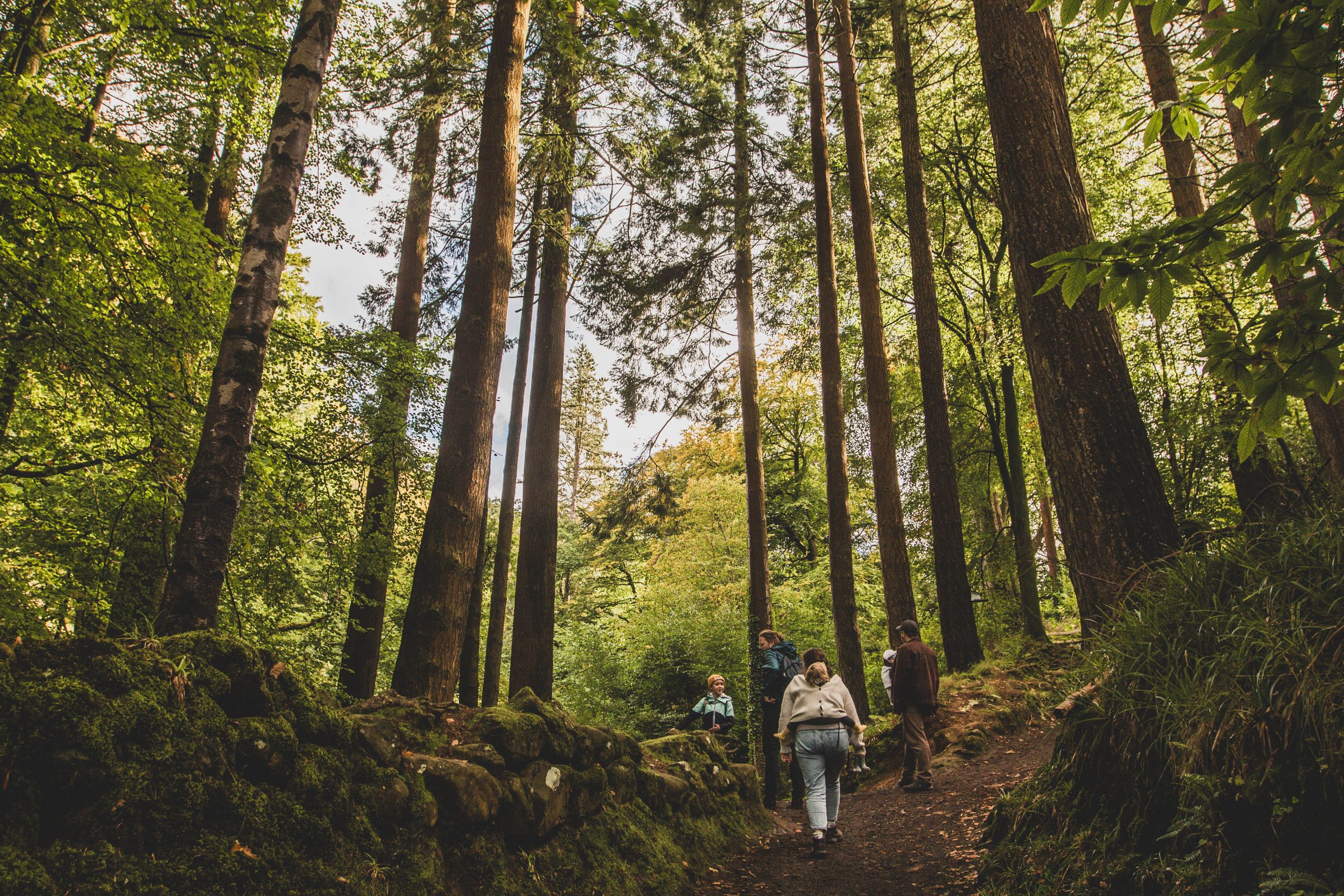 Glenariff Forest Park en Irlande du Nord