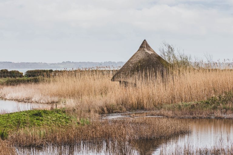 Visiter Castle Espie, réserve naturelle du comté de Down